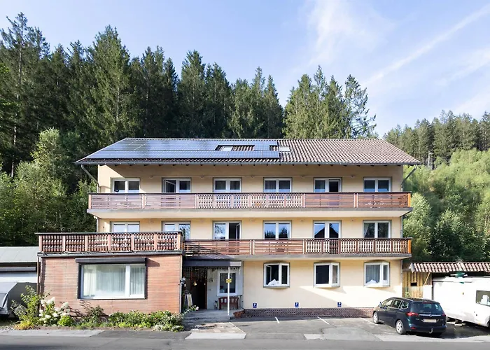 Apart Otel Haus Berliner Baer - Naturnah - Kueche - Fruehstueck Buchbar - Gemeinschaftsraum Wildemann