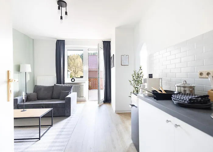 Haus Berliner Baer - Naturnah - Kueche - Fruehstueck Buchbar - Gemeinschaftsraum Apart Otel Wildemann