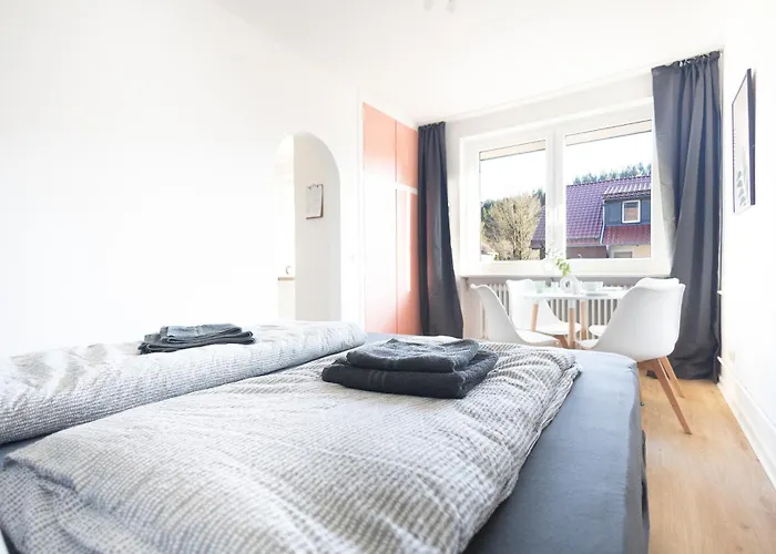 Apart Otel Haus Berliner Baer - Naturnah - Kueche - Fruehstueck Buchbar - Gemeinschaftsraum Wildemann